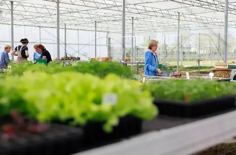 Les 4 saisons du Parc : c'est le Printemps !