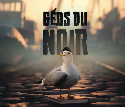 Ascenseur pour les Géos du Noir